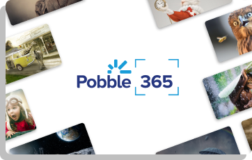 Examples of images from Pobble 365